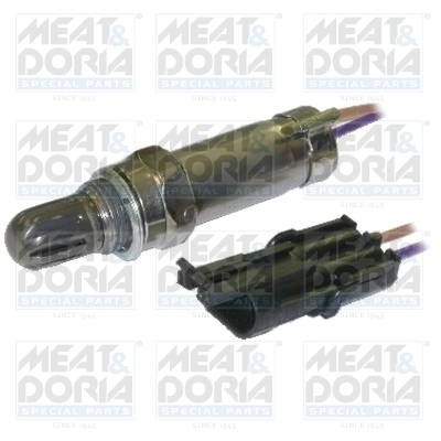 Oxygen Sensor